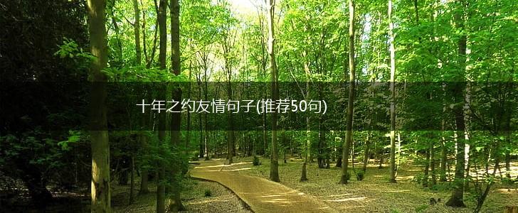 十年之约友情句子(推荐50句),第1张