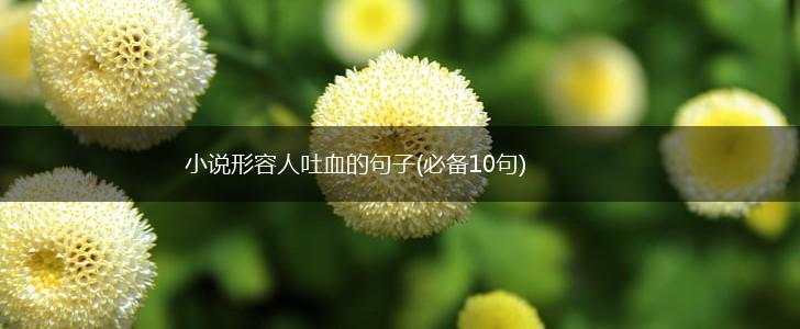 小说形容人吐血的句子(必备10句),第1张