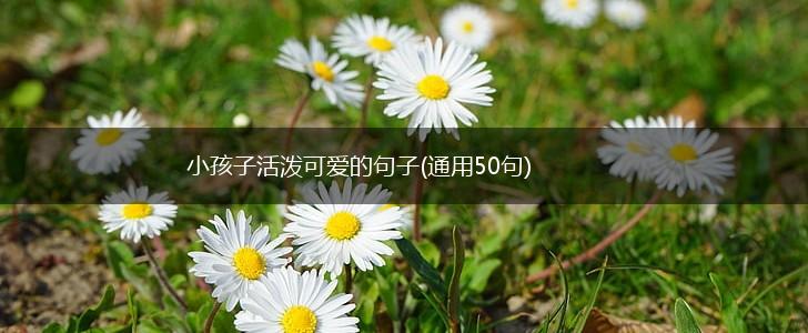 小孩子活泼可爱的句子(通用50句),第1张