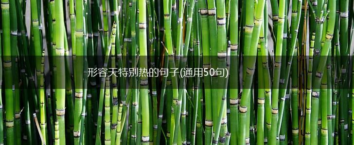形容天特别热的句子(通用50句),第1张