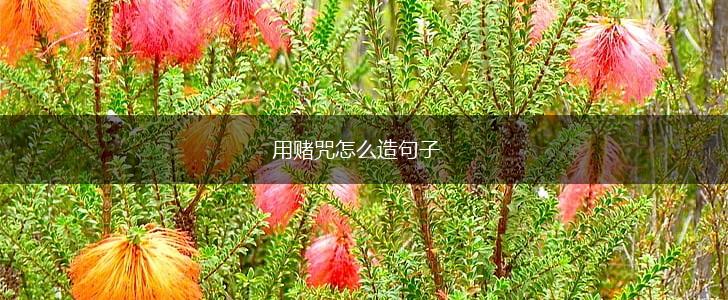 用赌咒怎么造句子,第1张 用赌咒怎么造句子,第1张