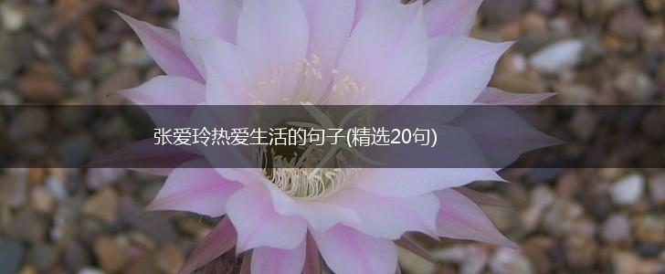 张爱玲热爱生活的句子(精选20句),第1张