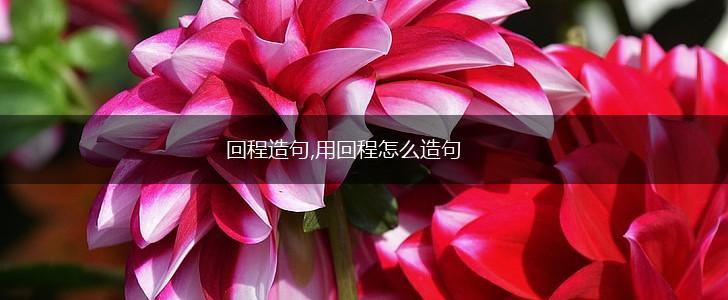 回程造句,用回程怎么造句,第1张