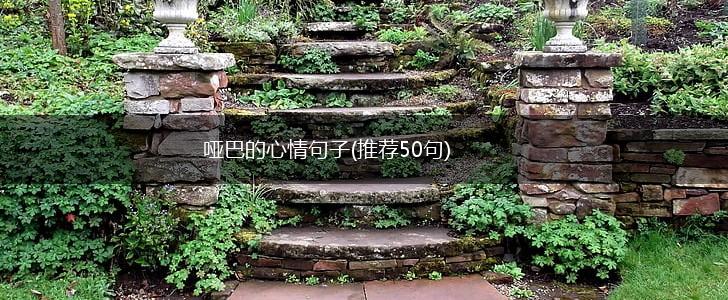 哑巴的心情句子(推荐50句),第1张