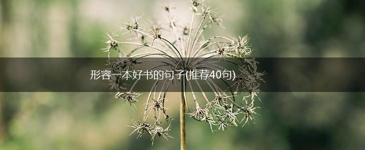 形容一本好书的句子(推荐40句),第1张