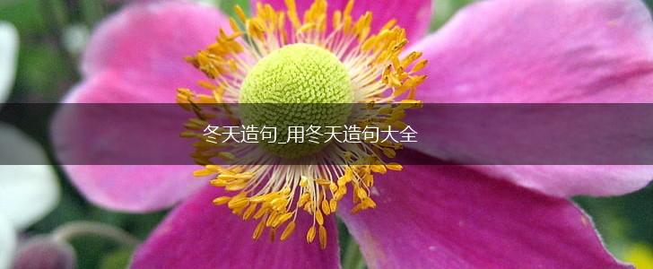 冬天造句_用冬天造句大全,第1张