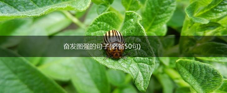 奋发图强的句子(必备50句),第1张