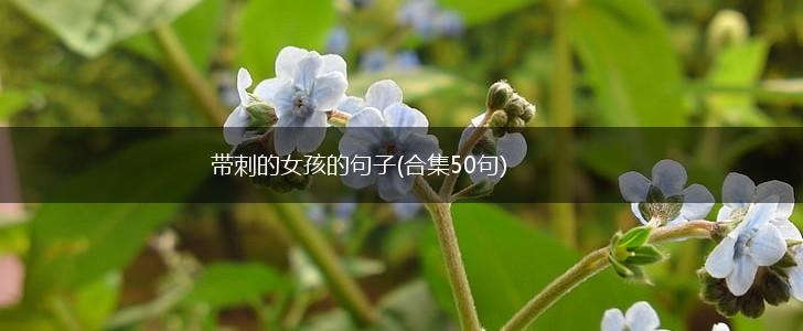 带刺的女孩的句子(合集50句),第1张