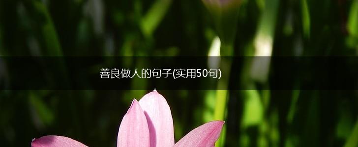 善良做人的句子(实用50句),第1张