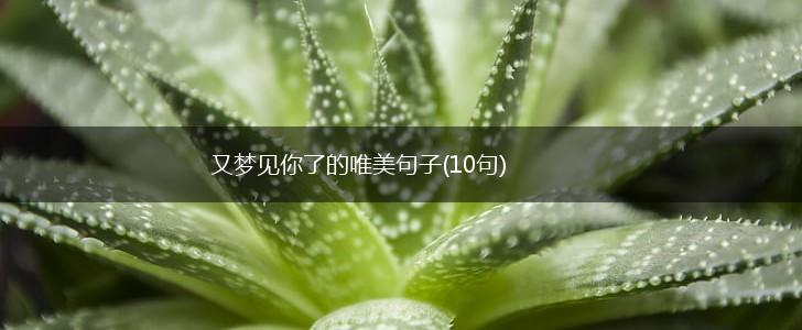 又梦见你了的唯美句子(10句),第1张