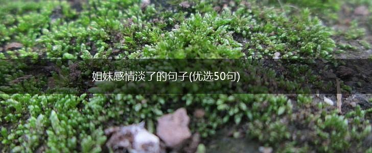 姐妹感情淡了的句子(优选50句),第1张