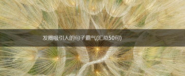 发圈吸引人的句子霸气(汇总50句),第1张