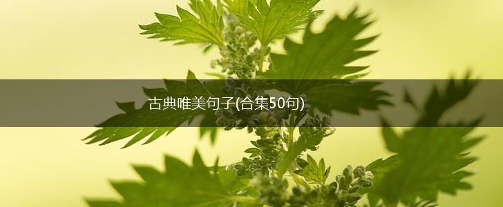 古典唯美句子(合集50句),第1张