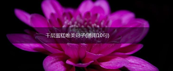 千层蛋糕唯美句子(通用10句),第1张
