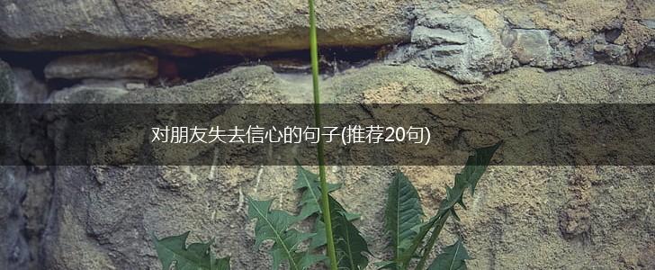 对朋友失去信心的句子(推荐20句),第1张