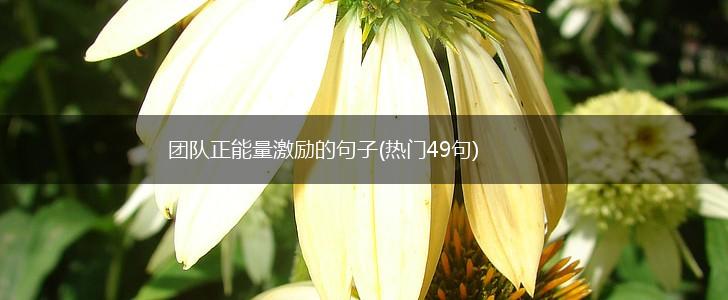 团队正能量激励的句子(热门49句),第1张