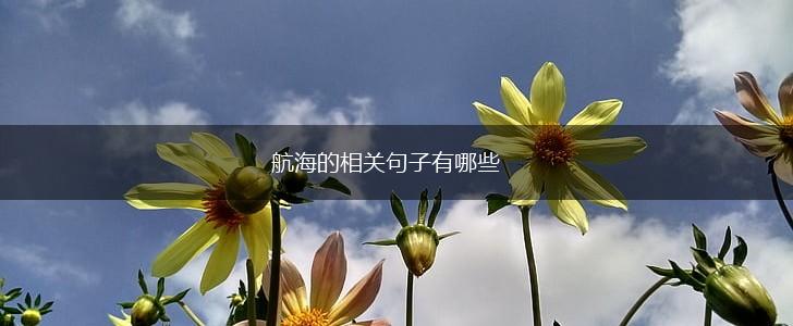 航海的相关句子有哪些,第1张 航海的相关句子有哪些,第1张