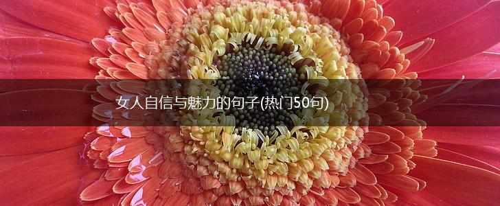 女人自信与魅力的句子(热门50句),第1张