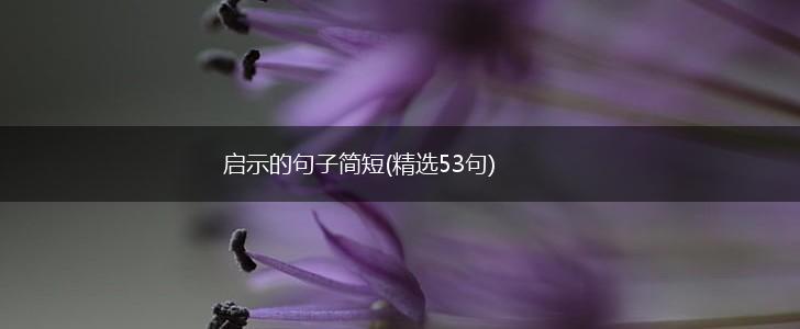 启示的句子简短(精选53句),第1张