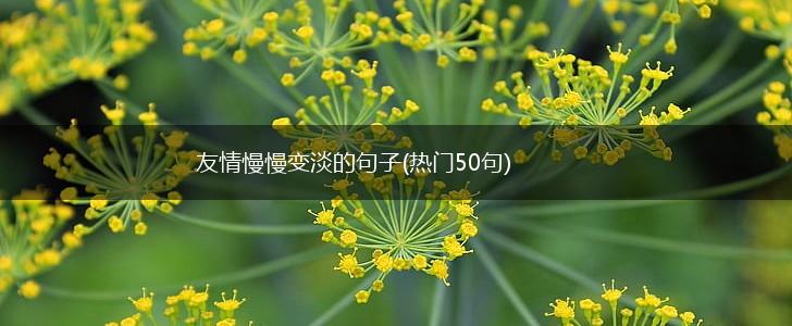 友情慢慢变淡的句子(热门50句),第1张