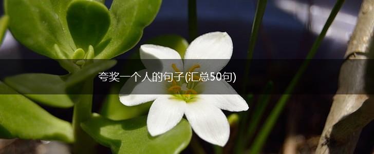 夸奖一个人的句子(汇总50句),第1张