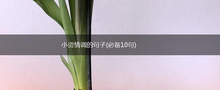 小资情调的句子(必备10句),第1张