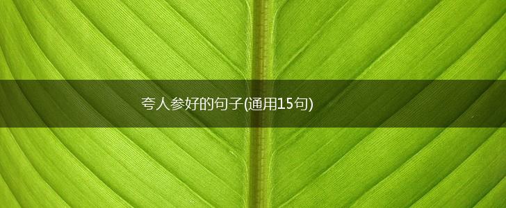 夸人参好的句子(通用15句),第1张