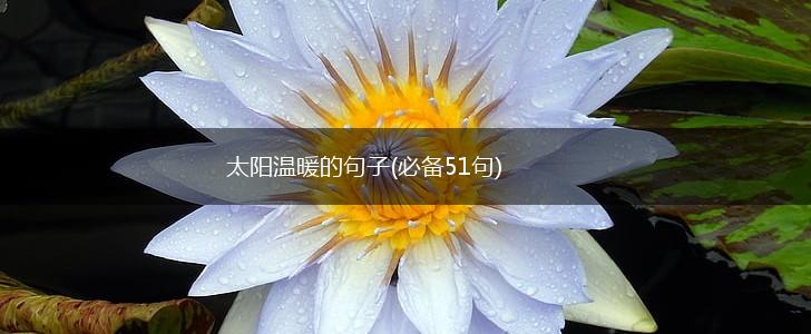太阳温暖的句子(必备51句),第1张