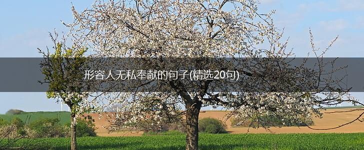 形容人无私奉献的句子(精选20句),第1张