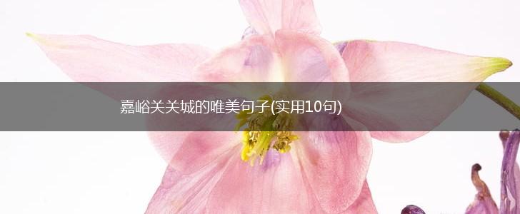 嘉峪关关城的唯美句子(实用10句),第1张