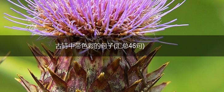 古诗中带色彩的句子(汇总46句),第1张