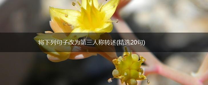 将下列句子改为第三人称转述(精选20句),第1张