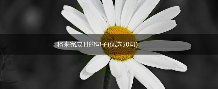 将来完成时的句子(优选50句),第1张