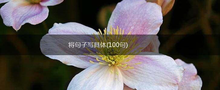 将句子写具体(100句),第1张