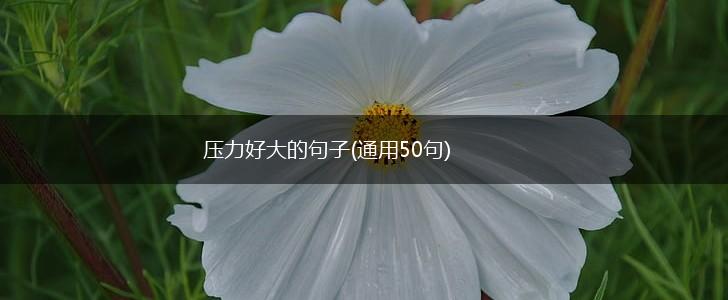压力好大的句子(通用50句),第1张