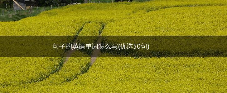 句子的英语单词怎么写(优选50句),第1张