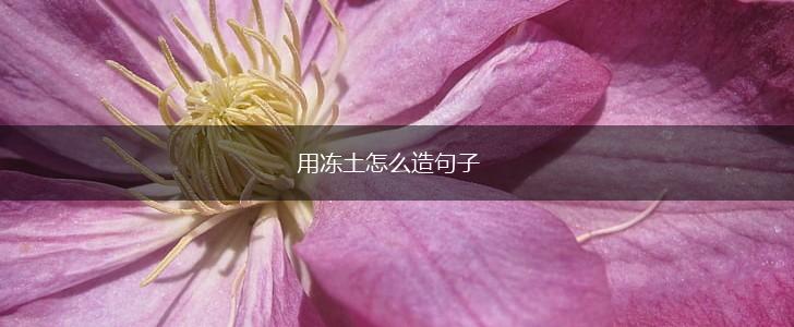 用冻土怎么造句子,第1张