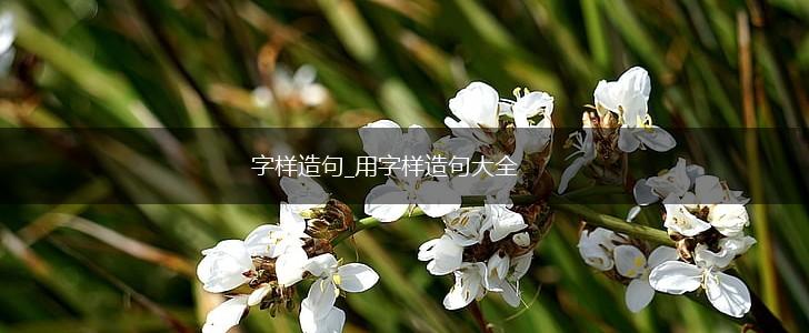 字样造句_用字样造句大全,第1张