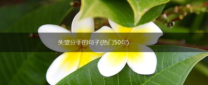 失望分手的句子(热门50句),第1张