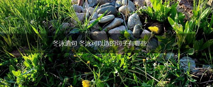 冬泳造句 冬泳可以造的句子有哪些,第1张