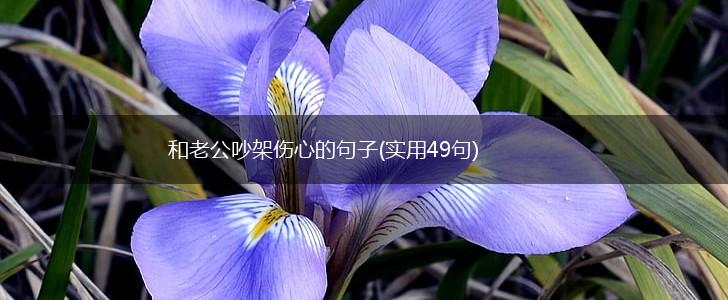 和老公吵架伤心的句子(实用49句),第1张