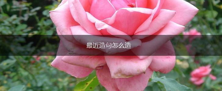 最近造句怎么造,第1张