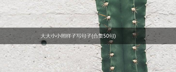 大大小小照样子写句子(合集50句),第1张