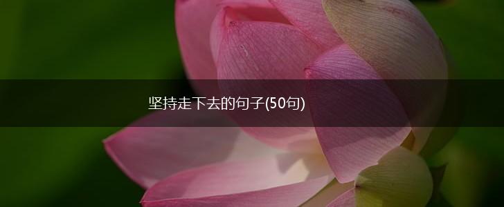 坚持走下去的句子(50句),第1张