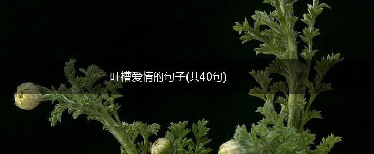 吐槽爱情的句子(共40句),第1张