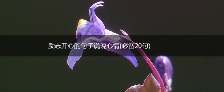 励志开心的句子说说心情(必备20句),第1张