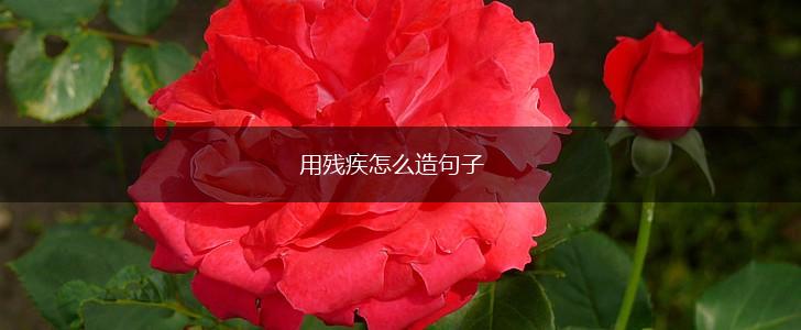 用残疾怎么造句子,第1张