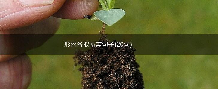 形容各取所需句子(20句),第1张