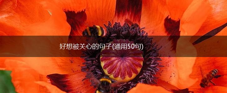 好想被关心的句子(通用50句),第1张