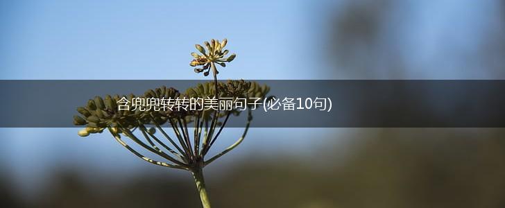 含兜兜转转的美丽句子(必备10句),第1张
